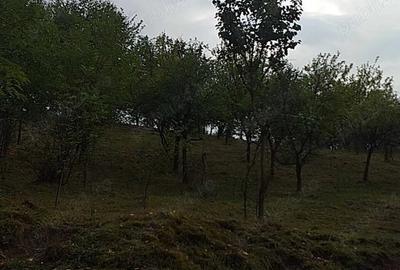 Teren de 4600 mp, în Central