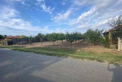 Teren în Moara Domnească - 4