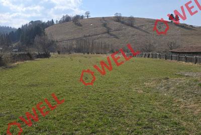 Teren intravilan de 4800 mp, în Sita Buzăului - 3
