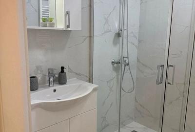 Apartament cu 2 camere nedecomandat în Snagov - 5