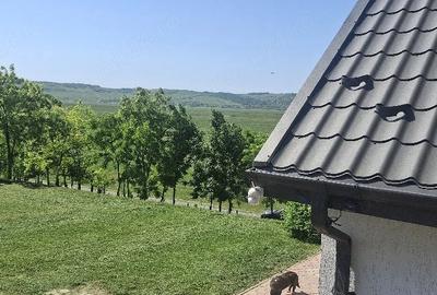 Casă cu Teren 2860 Mp în Țigănași