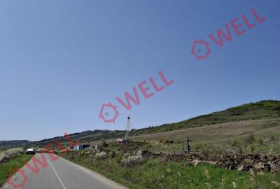 Teren agricol extravilan de 60000 mp, în Agrișteu - 6