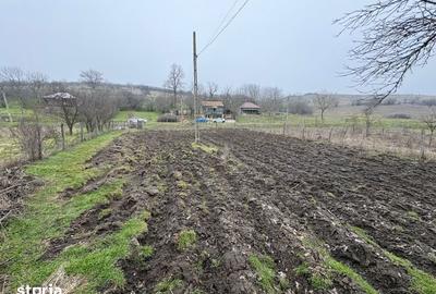 Teren de 2038 mp, în Ghercești - 13
