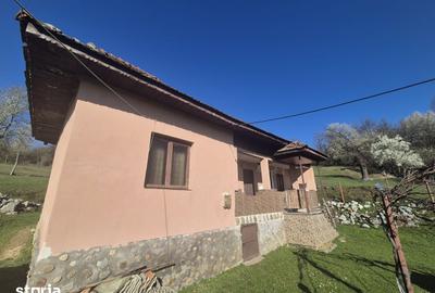 Casă cu 3 camere cu Teren 2586 Mp în Central - 7