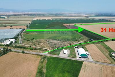 Teren agricol extravilan de 315258 mp, în Vânători - 2