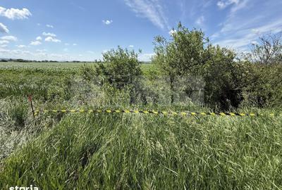 Teren de 4000 mp, în Central