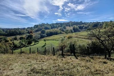 Teren Construcții intravilan de 1162 mp, în Jina