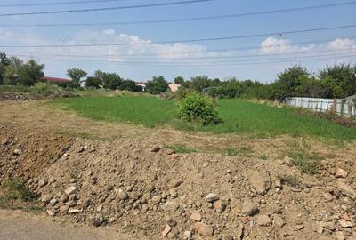 Teren Construcții intravilan de 3400 mp, în Nicolae Grigorescu - 2