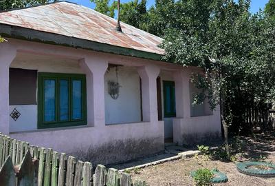 Casă cu 3 camere în Luciu - 5