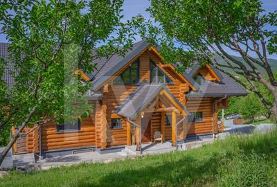 Casă individuală cu 6 camere cu Teren 5683 Mp în Sadu - 53