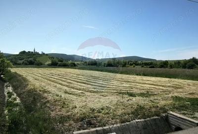 Teren de 15360 mp, în Blăjel - 7