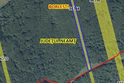 Teren de 10000 mp, în Central - 1
