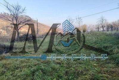 Teren Construcții intravilan de 1785 mp, în Pâclișa - 4