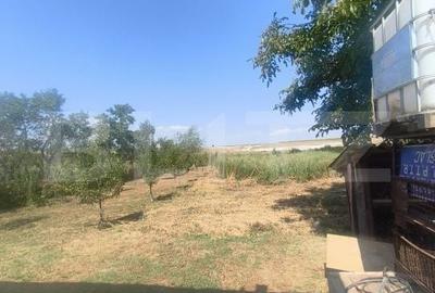 Casă cu 3 camere cu Teren 584 Mp în Central