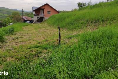 Teren de 2506 mp, în Baciu - 3
