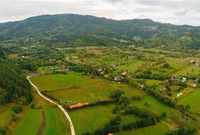 Casă individuală cu 12 camere cu Teren 19841 Mp în Valea Strâmbă - 19