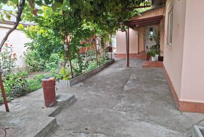 Casă cu 3 camere în Viile Noi