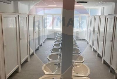 Casă individuală cu 25 camere cu Teren 2600 Mp în Berceni - 10