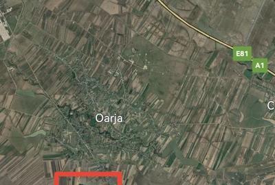 Teren de 200000 mp, în Oarja - 3