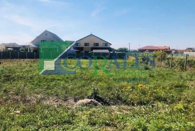 Teren Construcții intravilan de 630 mp, în Buziașului - 2