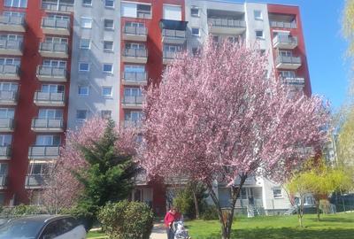 Apartament cu 3 camere, mobilat în Avantgarden