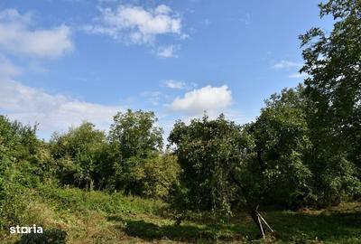 Casă cu 2 camere în Feleacu