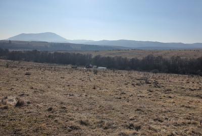 Teren Construcții intravilan de 500 mp, în Vlădeni - 1