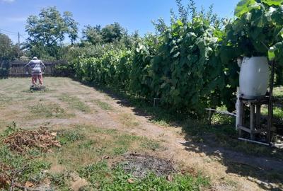 Casă individuală cu 2 camere cu Teren 1100 Mp în Beiu - 11