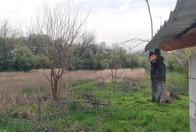 Teren agricol intravilan de 2500 mp, în Dorobanți - 2