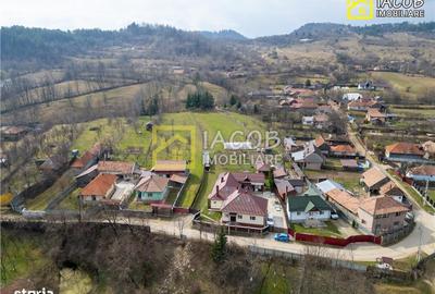 Casă cu 4 camere decomandat cu Teren 3762 Mp în Coman - 4