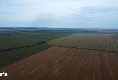 Teren de 47300 mp, în Cumpăna - 2