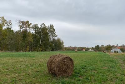 Teren de 4990 mp, în Duboz - 6