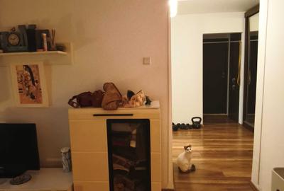Apartament cu 2 camere în Băneasa - 1