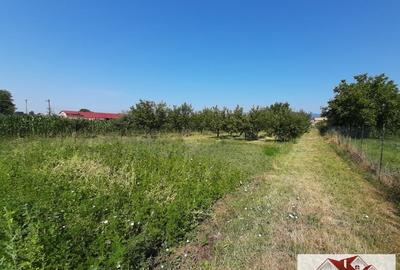 Casă individuală cu 4 camere cu Canalizare în Vințu de Jos - 8