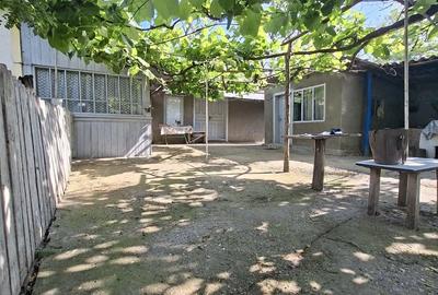 Casă cu Teren 2600 Mp în Movila Miresii - 8