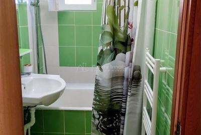 Apartament cu 2 camere în Șega - 6
