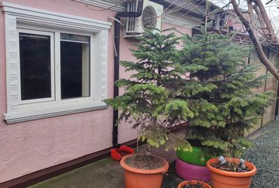 Casă cu 2 camere cu Teren 200 Mp în Palas - 3