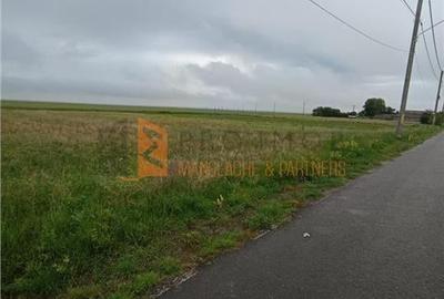 Teren Construcții intravilan de 1100 mp, în Poșta Câlnău - 3