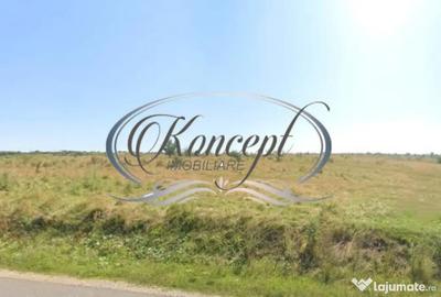 Teren de 1000 mp, în Sălicea - 2
