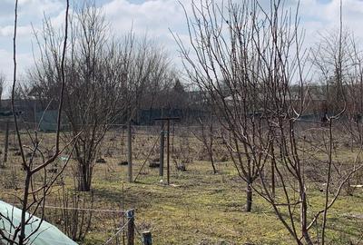 Casă individuală cu 2 camere cu Canalizare în Schela - 5