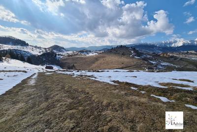 Teren Construcții extravilan de 150000 mp, în Șirnea - 17