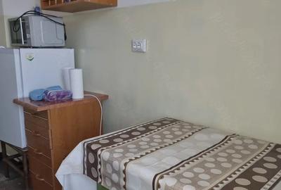 Apartament cu 2 camere semidecomandat în Central - 2