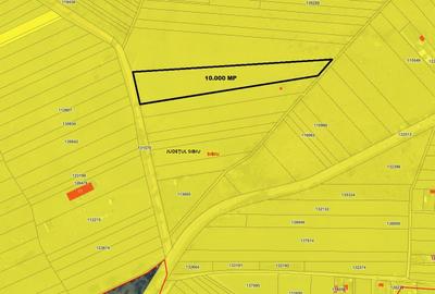 Teren Construcții extravilan de 10000 mp, în Exterior Est - 5