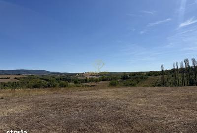 Teren de 1439 mp, în Viile Satu Mare