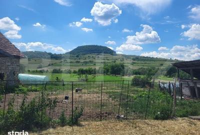 Casă cu 3 camere cu Teren 4200 Mp în Mihai Viteazu