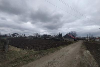 Casă cu Teren 3976 Mp în Dumbrăvița - 5