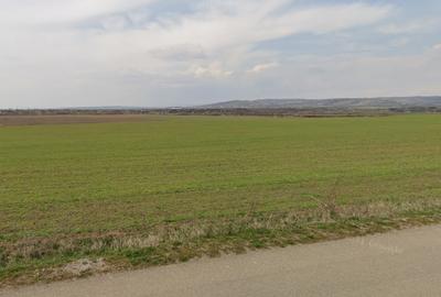 Teren Construcții intravilan de 17330 mp, în Bucov - 1