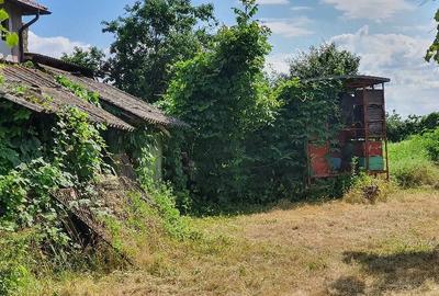 Teren de 6378 mp, în Brăteștii de Jos - 2