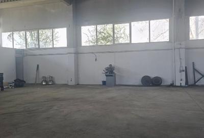 Spațiu industrial, de 760 mp, în Olteni - 6