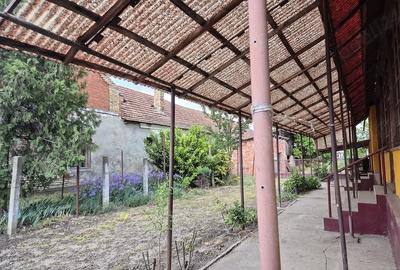 Casă cu 5 camere cu Teren 1870 Mp în Lenauheim
